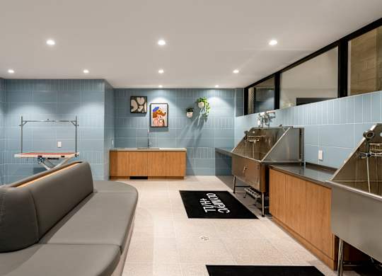 A modern living room with a grey sofa and a wooden cabinet.