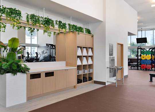 A modern office space with a green plant hanging from the ceiling.