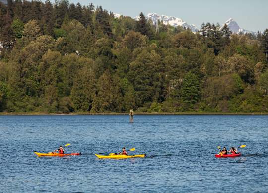 A group of people kayaking on a lake with a forested mountain in the background.