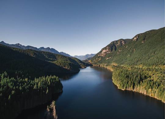 A river flows through a forest with mountains in the background.