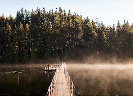 A wooden dock extends into a lake with a person standing at the end.