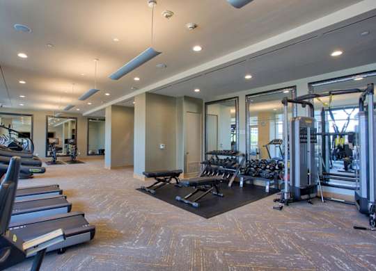 A gym with treadmills, weights, and exercise equipment.