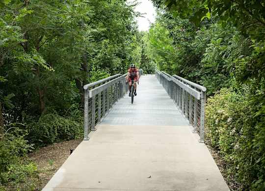 A person riding a bicycle on a bridge in a green forest.