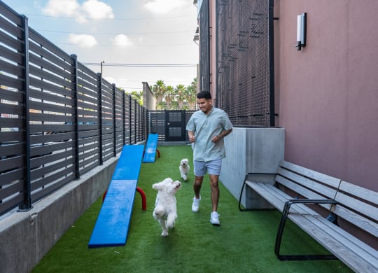 dog run