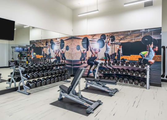 a large fitness room with weights and a mural of people working out in a gym
