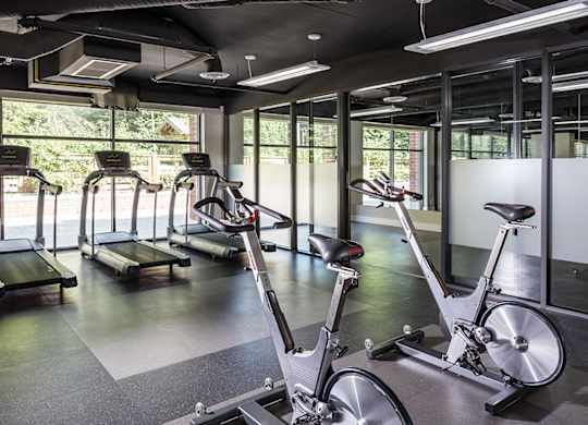 A gym with treadmills, exercise bikes, and elliptical machines.