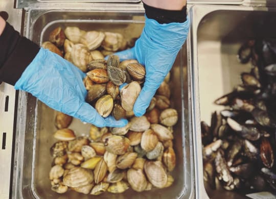 a pair of hands wearing blue gloves hold a tray of pistachios at Rivulet, Washington, 98383