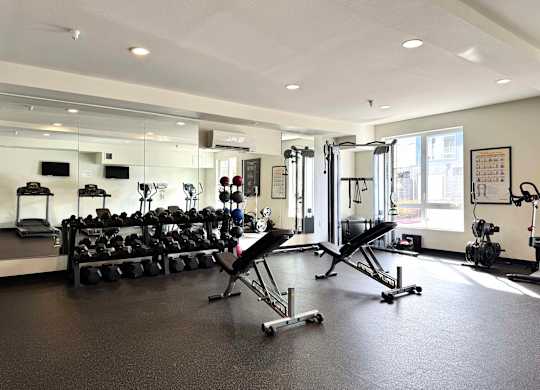 A gym with a variety of equipment including weights and cardio machines.