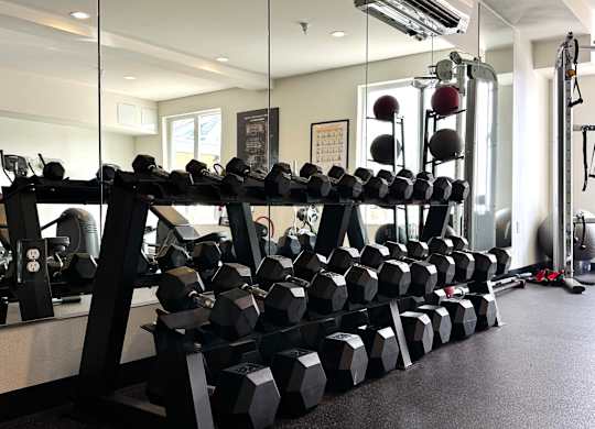 A gym with a rack of dumbbells and a mirror.