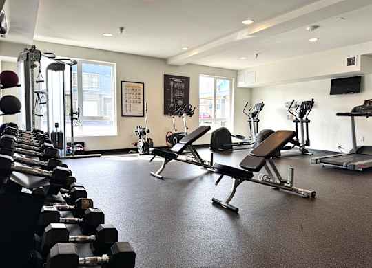 A gym with a variety of equipment including dumbbells, benches, and treadmills.