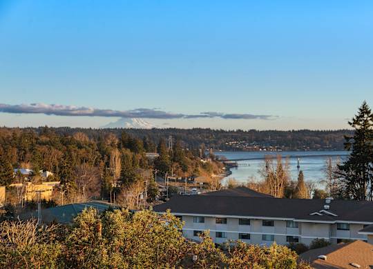 A view of a residential area with a mountain in the distance at The Narrows at Clare Apartments , Bremerton, Washington