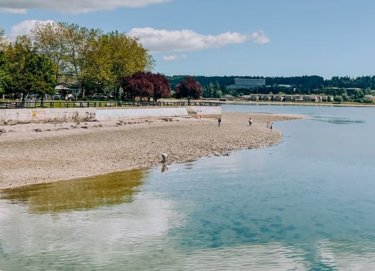 a view of a lake with a sandy beach and trees in the background at Rivulet, Silverdale, WA