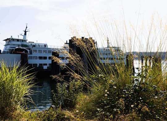 A large white boat is docked at a pier.