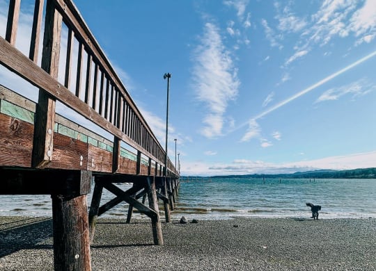 a wooden pier on a pebble beach with a dog in the distance at Rivulet, Silverdale, WA