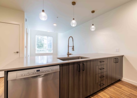 a kitchen with a stainless steel dishwasher and a sink at Rivulet, Silverdale, 98383