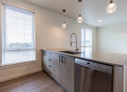 a kitchen with a stainless steel dishwasher and a counter top at Rivulet, Silverdale, WA