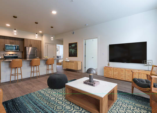 a living room with a kitchen and a television at Rivulet, Washington