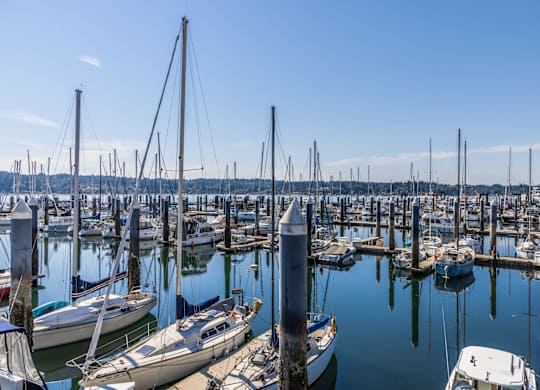 A marina with boats docked at the pier.