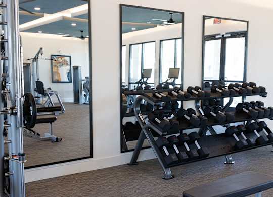 Fitness center with dumbbell rack and workout equipment at The Crest at South Point Apartments, McDonough, 30253