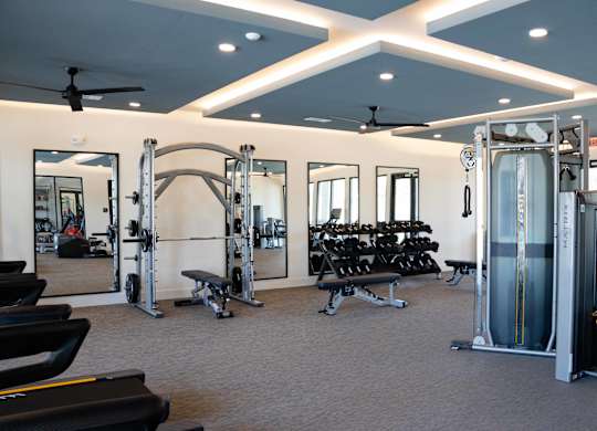Spacious fitness center with free weights and cardio machines at The Crest at South Point Apartments, McDonough, GA