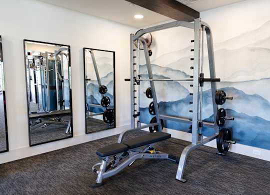 A gym with a mountain mural on the wall. at The Crest at Oakwood Apartments, Oakwood  30566