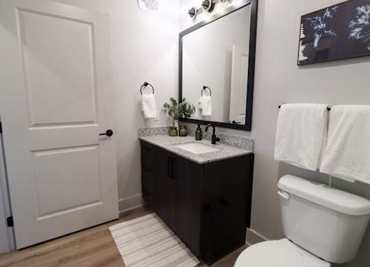 Bathroom with dark vanity and decorative wall art at The Crest at South Point Apartments, McDonough, Georgia