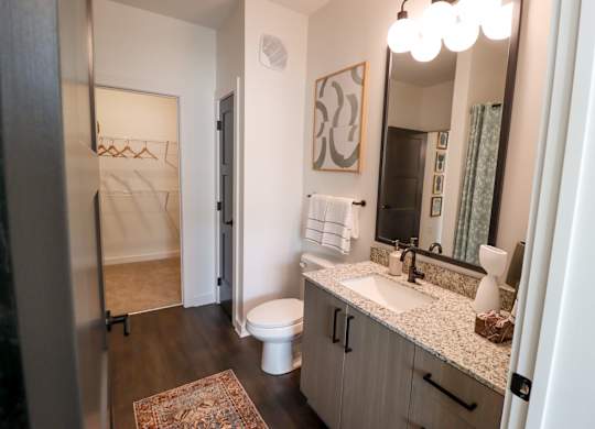 Bathroom vanity with granite counter and walk-in closet access at The Wren Apartments, Georgia