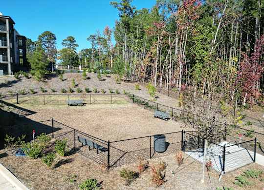 Fenced dog park with benches and wooded surroundings at The Wren Apartments, Lawrenceville, GA