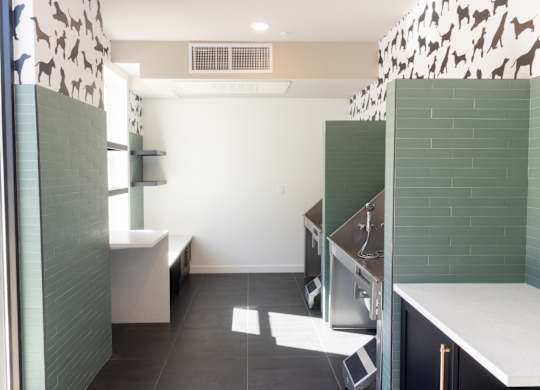 Pet friendly kitchen with dog wallpaper and subway tile at The Wren Apartments, Lawrenceville