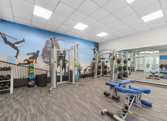 fitness center with free weights at HighPoint apartments