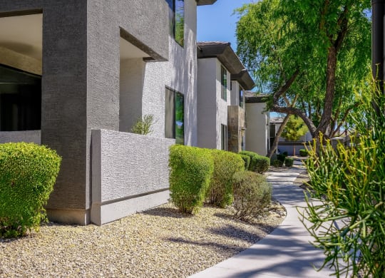 exterior view of Avora Phoenix apartments