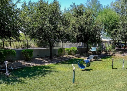 dog park at Avora apartments