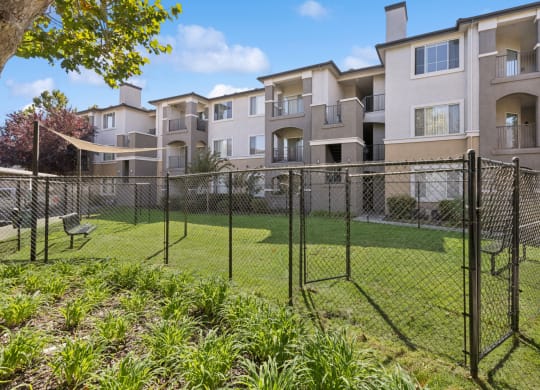 off-leash dog park at Bridgeport Ranch apartments