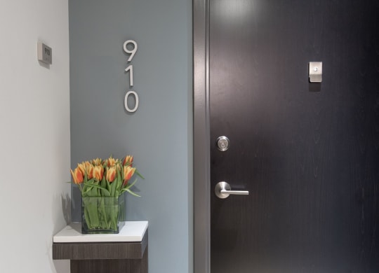 Large Door With Shelf at Berkshire 15, Washington, DC, 20009