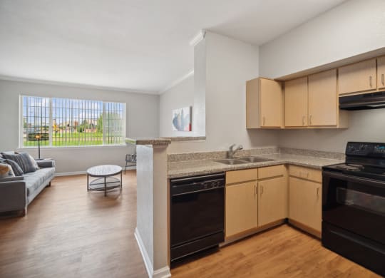 spacious open-concept kitchen and living area at Red Hawk Ranch apartments