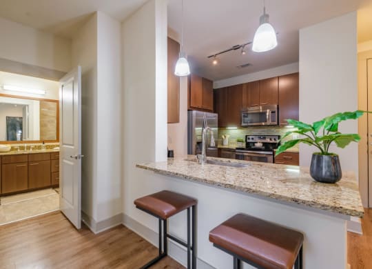 luxury kitchen at Berkshire Medical District apartments