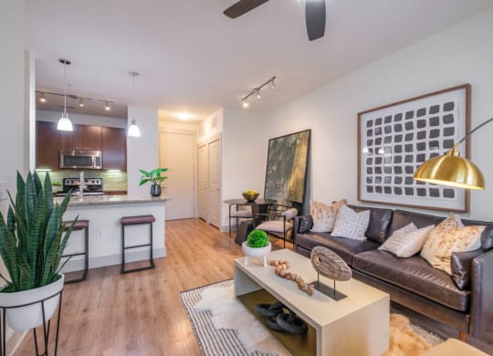 spacious living room with a ceiling fan at Berkshire Medical District apartments