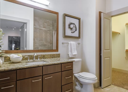 bathroom at Berkshire Medical District apartments