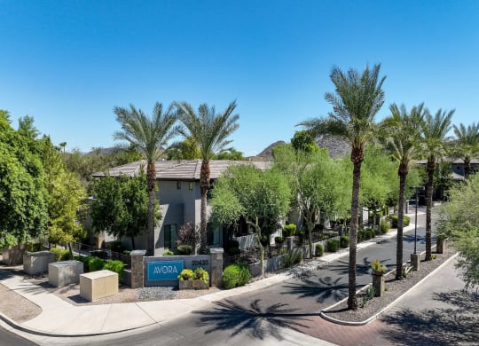 Avora apartments 20435 N 7th St., Phoenix, AZ 85024