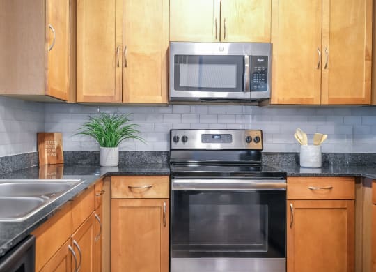 luxury kitchen with stainless steel appliances at Soho Parkway apartments McKinney, TX