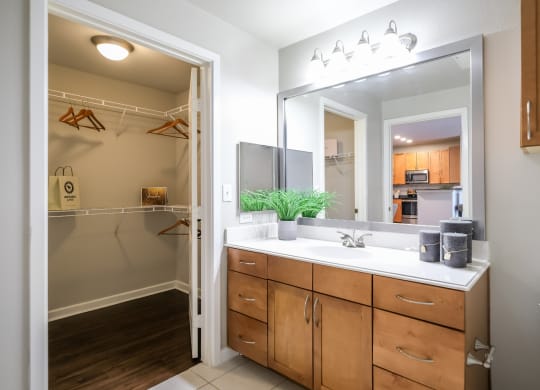 bathroom with custom cabinetry at Soho Parkway apartments