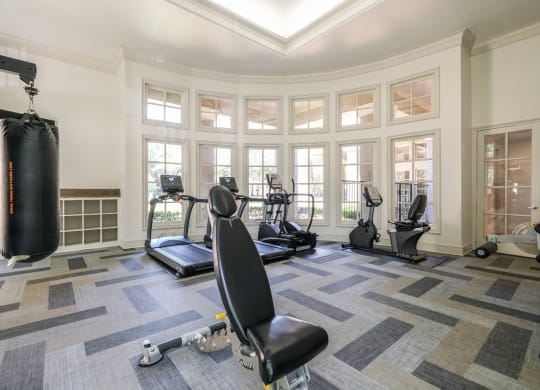 fitness center at Stoneleigh on Spring Creek apartments
