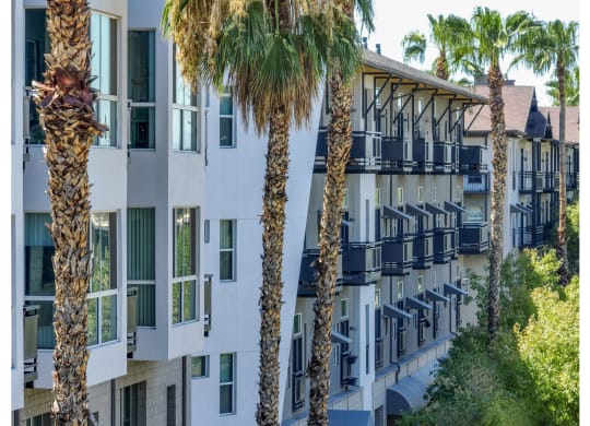 exterior view of Roosevelt Square luxury apartments