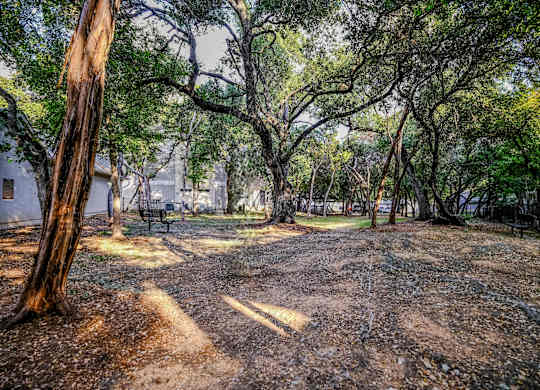 dog park at San Marin pet friendly Austin apartments