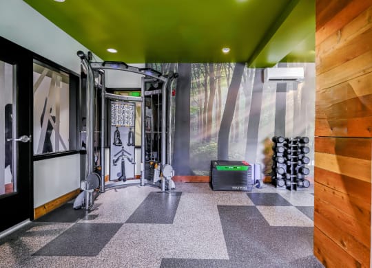 fitness center at Elan Redmond apartments