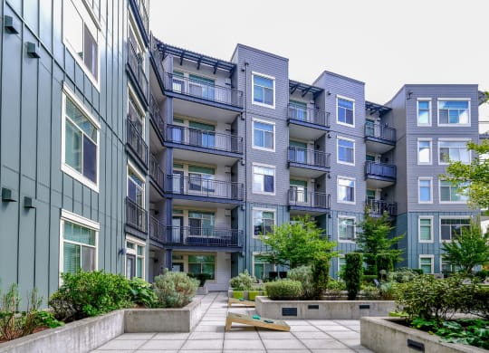 courtyard with cornhole at Elan Redmond apartments
