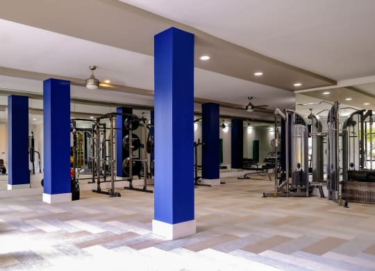 a gym with a lot of exercise equipment and blue pillars