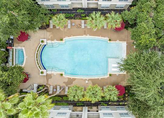 aerial view of the swimming pool at The Plaza Museum District apartments