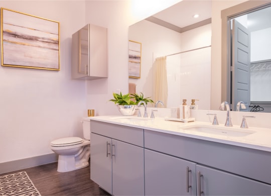 luxury bathroom at Reveal Skyline apartments