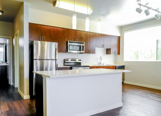 luxury kitchen at Elan Redmond apartments